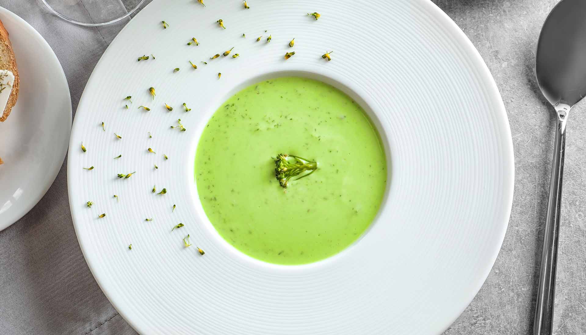 Vegetable Cream Soup - Nove